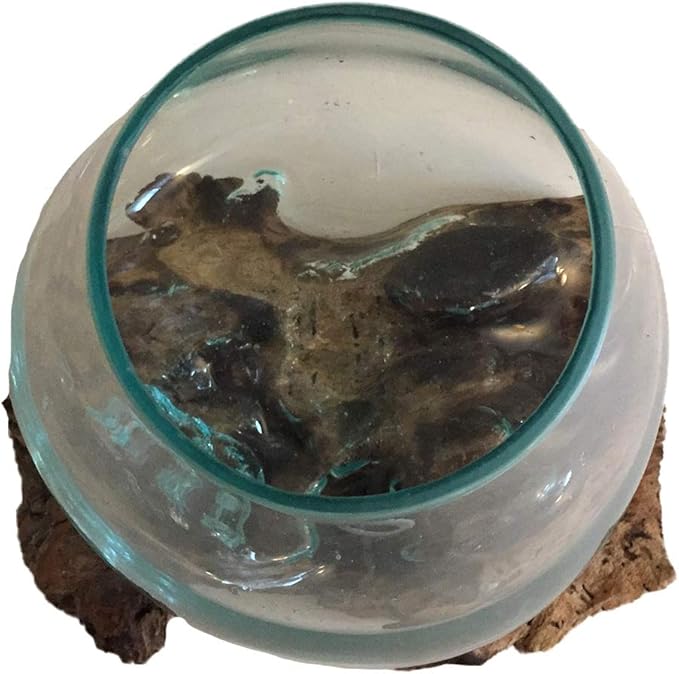 Hand Blown Molten Glass & Teak Wood Terrarium/Vase/Fish Bowl - Premium Quality (12" - 14" High)