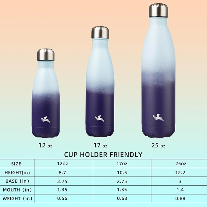 Insulated Water Bottles,12 oz Double Wall Stainless Steel Vacumm Metal Flask for Sports Travel,Ocean Dream