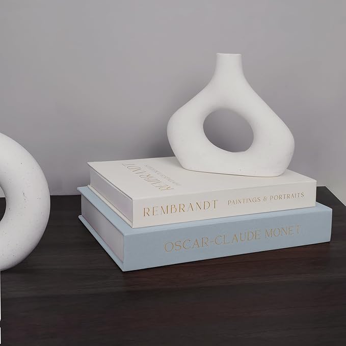 Linen Decorative Books for Home Decor,Set of 2 Aesthetic Faux Decor Book for Decoration,Fake Books for Bookshelf,Keepsake Storage Box (Blue & Beige)