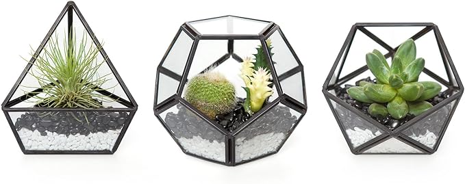 Mkono 4 Inches Mini Glass Geometric Terrarium Container Set of 3 Modern Tabletop Planter Shelves Decor Display Centerpiece for Succulent Miniature Fairy Garden Air Plant, Black(Plant Not Included)