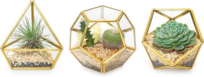 Mkono 4 Inches Mini Glass Geometric Terrarium Container Set of 3 Modern Tabletop Planter Shelves Decor Display Centerpiece for Succulent Miniature Fairy Garden Air Plant, Gold (Plant Not Included)