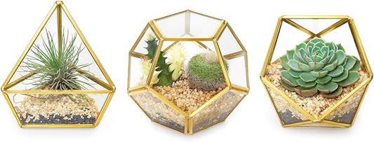 Mkono 4 Inches Mini Glass Geometric Terrarium Container Set of 3 Modern Tabletop Planter Shelves Decor Display Centerpiece for Succulent Miniature Fairy Garden Air Plant, Gold (Plant Not Included)