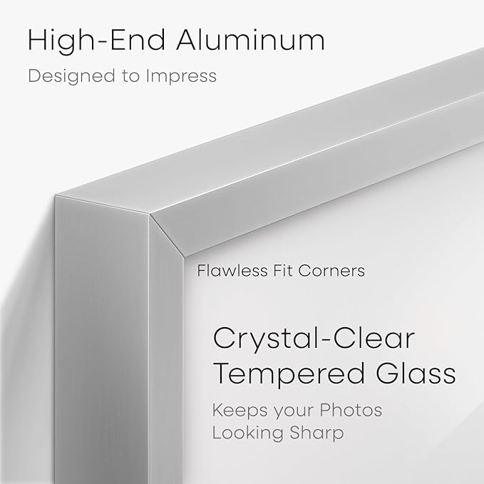 Homeforia 16 x 20 Picture Frame Silver, High End Metal 16 x 20 Frames with Mat 11 by 14 Photo, 16x20 Silver Poster Frame Matted to 11x14 Print, 20x16 Hanging Frames, Tempered Glass, Wall Kit, Set of 1