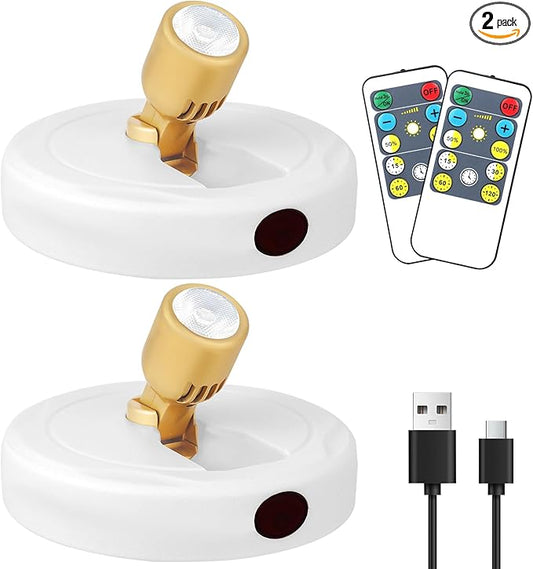 Rechargeable Spotlight, Battery Operated Picture Lights with Remote, Cordless Plant Spot Light Indoor, LED Accent Lighting, Dimmable Uplight for Tree Painting Artwork Photo Dartboard Decor