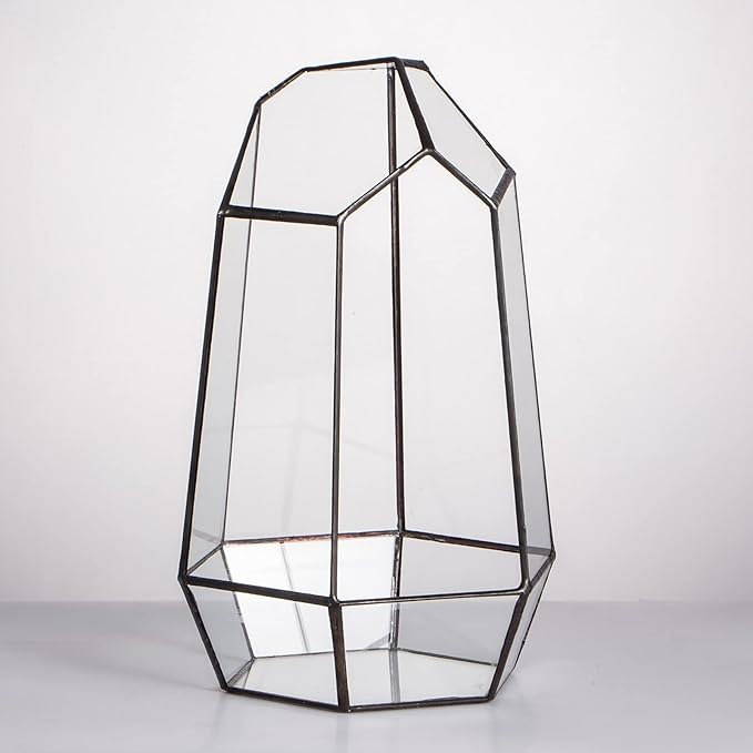 NCYP Geometric Glass Terrarium Planter for Succulent, Small Cacti, Black Irregular Opened Container Pot, Indoor Home Garden Office Tabletop Decor, 6.5" x 5.7" x 9.8" (No Plants, No Door)