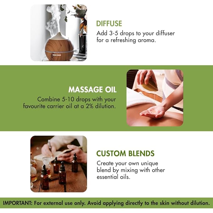 Majestic Pure Thyme Essential Oil with Glass Dropper - Huge 4 Fl Oz - 100% Pure and Natural Thyme Oil - Premium Grade Essential Oils for Diffuser, Aromatherapy, Soap and Candle Making