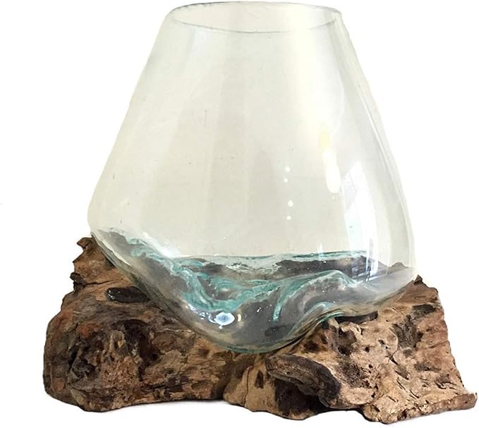 Hand Blown Molten Glass & Teak Wood Terrarium/Vase/Fish Bowl - Premium Quality (10" - 12" High)