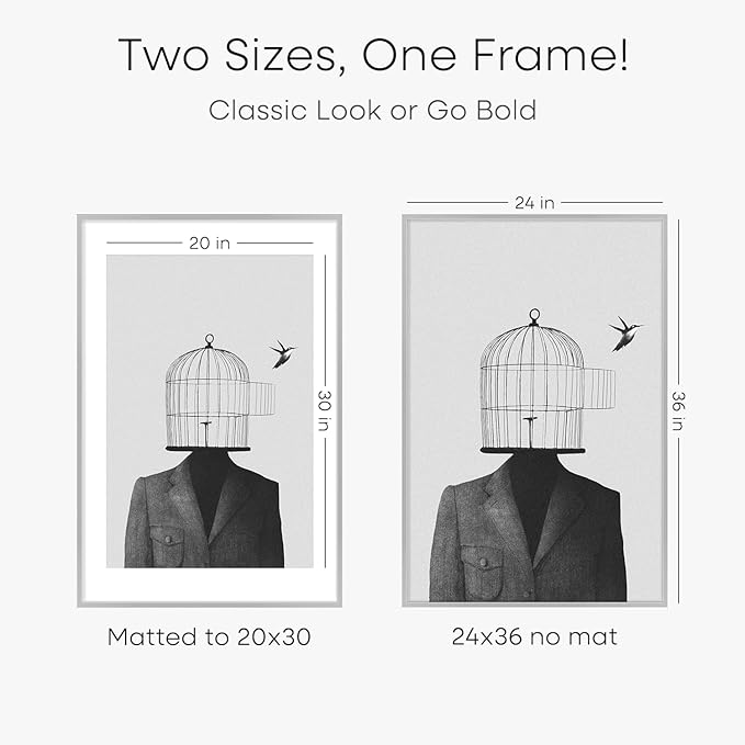 Homeforia Poster Silver Frame 24x36, High End Metal 24 x 36 Large Picture Frame with Mat 20 x 30 Photo, 24x36 Silver Frames Matted to 20x30 Print, 36x24 Thin Frames, Tempered Glass, Wall Kit, Set of 1