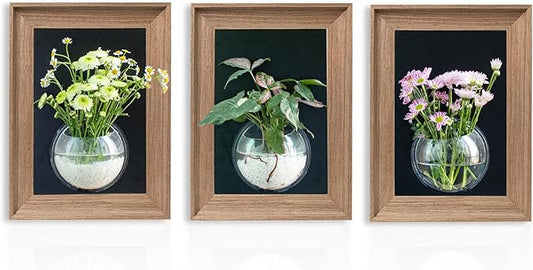 Walnut Wooden Frame Wall Hanging Planter for Hydroponic Plants,12'' x16''inch Wall Vase with Oblate-Shaped Acrylic Propagation Station,Bathroom, Office, or Living Room Decor, Set of 3