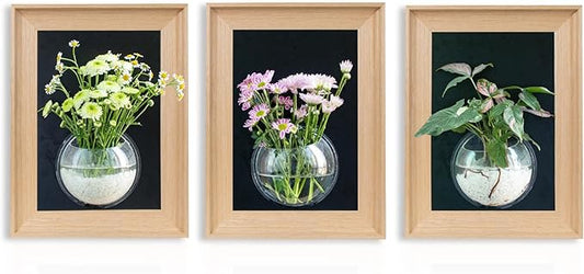 Natural Wooden Frame Wall Hanging Planter for Hydroponic Plants, 12'' x16''inch Wall Vase with Round Acrylic Propagation Station,Bathroom, Office, or Living Room Décor, Set of 3