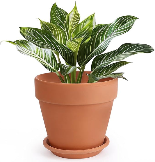 INGOFIN Terracotta Pot with Saucer - 10 Inch Ceramic Clay Pot for Plants with Drainage Hole, Large Terra Cotta Flower Planter with Tray for Indoor Outdoor Plants