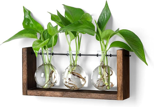 YIBOT Plants Propagation Stations,Plant Terrarium with Wooden Stand Wall Hanging Glass Planter Plant Propagation Vase for Indoor Office Home Garden Decor Plant Lover Gifts for Women