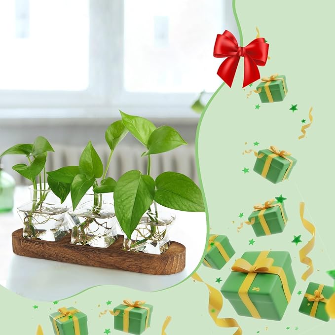 XXXFLOWER Plant Propagation Station with Wooden Stand,Air Plant Terrarium Starter Kits Star Vases for Flowers Plant Cutting Rooting Pots Indoor Hydroponic Glass Planter for Plant Lovers,3 Jars
