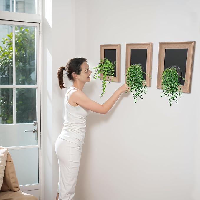 Walnut Wooden Frame Wall Hanging Planter for Hydroponic Plants,12'' x16''inch Wall Vase with Oblate-Shaped Acrylic Propagation Station,Bathroom, Office, or Living Room Decor, Set of 3