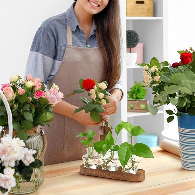 XXXFLOWER Plant Propagation Station with Wooden Stand,Air Plant Terrarium Starter Kits Star Vases for Flowers Plant Cutting Rooting Pots Indoor Hydroponic Glass Planter for Plant Lovers,3 Jars