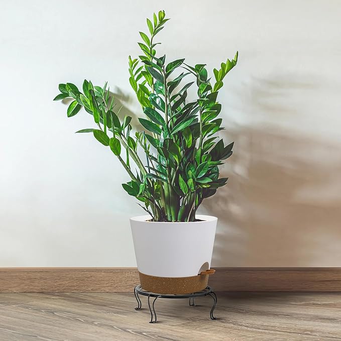 Self Watering Pots for Indoor Plants,12 inch Planters with Drainage Holes Plastic Flower Pots with Deep Reservoir, White with Brown