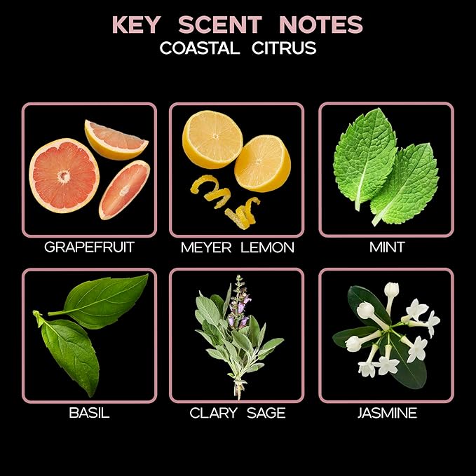 LOVSPA Reed Diffuser Set, Coastal Citrus Scented Oil Diffuser with Sticks, Home Fragrance Accessories for Bathroom Shelf Decor, Aroma Diffusers for Home or Office Desk, USA Made