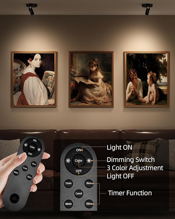 EZVALO Spotlights Indoor with Remote,5500mAh Rechargeable Picture Lights, Wireless LED Uplighting with Timer&Dimmable, 3CCT,Mini Plant Spot Lights for Painting,Artwork,Accent Lighting(4Pack-Black)