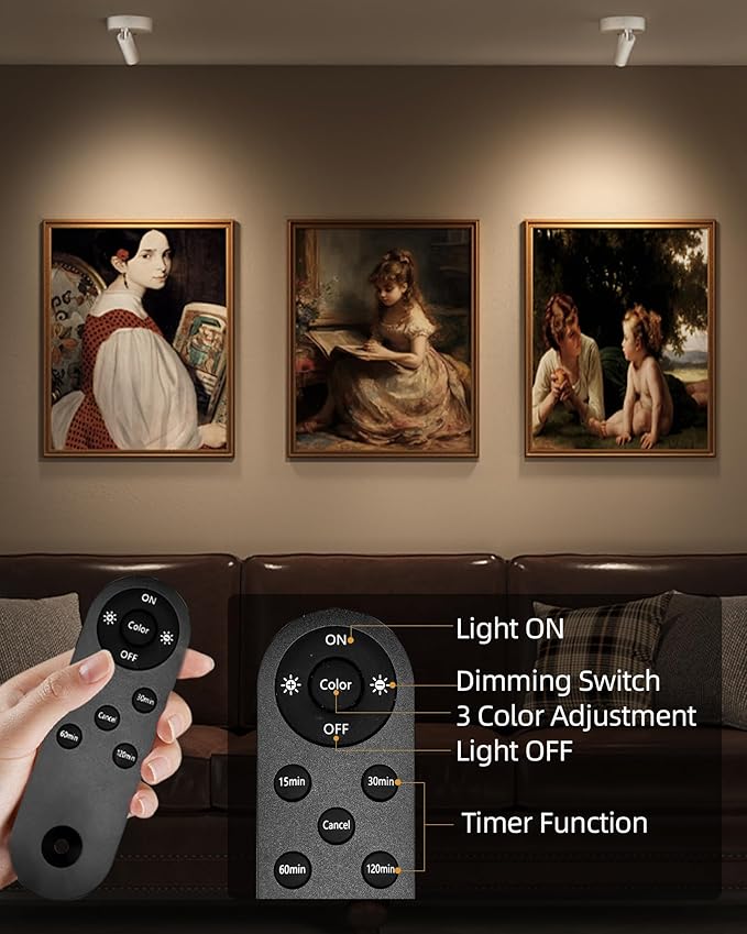 EZVALO Spot Lights Indoor,5500mAh Rechargeable Plants Spotlights with Remote,Wireless Mini Art Accent Spot Lights with Timer&Dimmable, 3CCT, Uplights Indoor for Plants,Display,Artwork(4Pack-White)