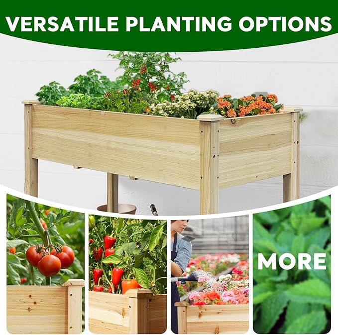BSP Raised Garden Bed with Legs Outdoor Elevated Planter Box Flower Bed Wood Planter for Vegetable Herb Upgraded Solid Structure Growing Box Suitable for Backyard Patio and Balcony, 48”L X 24”W