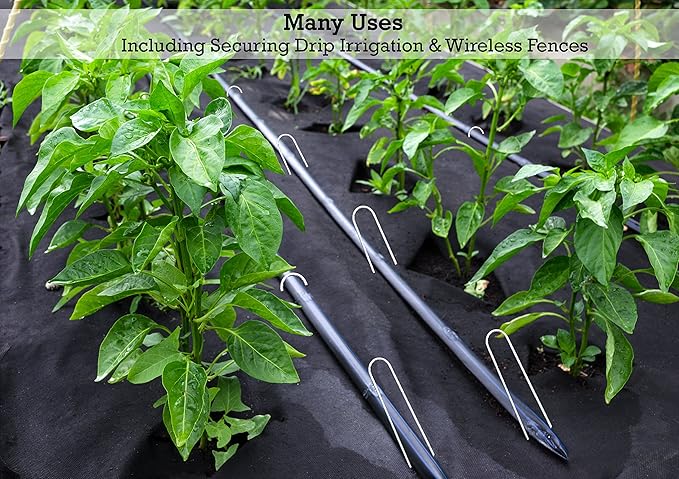 Sandbaggy Galvanized 6-Inch Landscape Staples ~ 9 Gauge Steel - Fabric Pins, Garden Earth Stakes, Ground Cover, Fence Anchors, Lawn Nails ~ Trusted by Organic Farmers Across The USA (5,000 Staples)