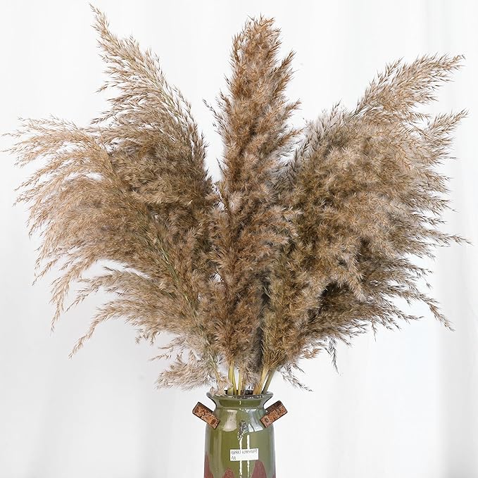 60 PCS Boho Decor, Fluffy Pompas Grass, Natural Dry Pampas Grass Small, Short Pampass Bulk for Boho Room Decor, Coffee Table Decor (17 inch )