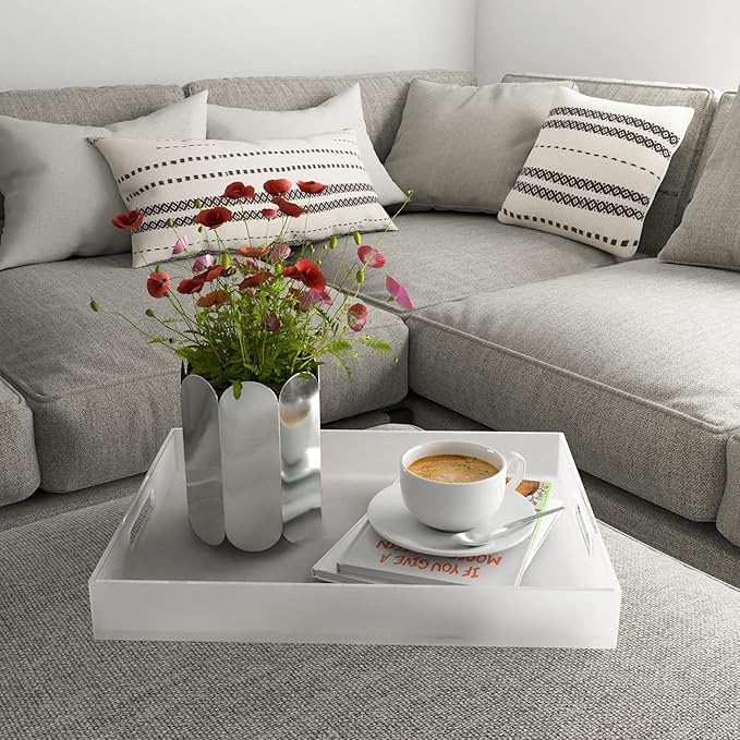 Large Acrylic Serving Tray Decorative Ottoman Coffee Table Vanity Tray Tea Fruit Platter Snack Appetizer Dessert Drink with Handles for Bar Kitchen Party, Frosted