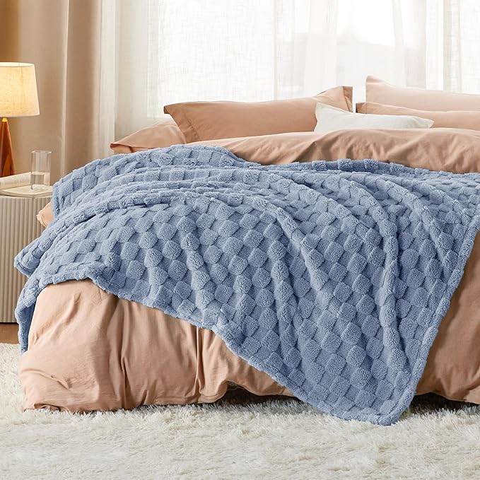 Bedsure GentleSoft Twin Blanket for Bed Ashley Blue - Super Soft Cozy Blankets for Women Men Girls, Cute Fuzzy Fleece Throws for Bedroom Couch, 60x80 Inches