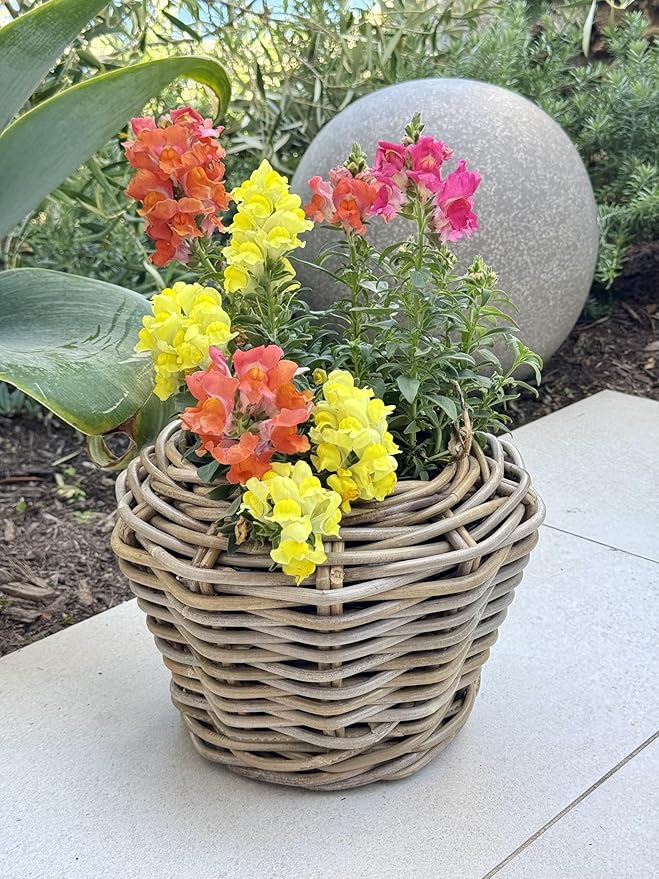 Rattan Kobo Indoor Outdoor Planter Basket with Plastic Pot X Small 1 Gallon Soil Capacity