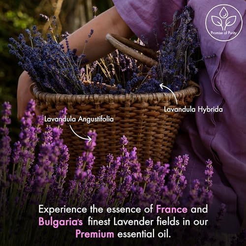 Majestic Pure Lavender Essential Oil with Glass Dropper - Huge 4 Fl Oz - 100% Pure and Natural Lavender Oil - Premium Grade Essential Oils for Diffuser, Aromatherapy, Soap and Candle Making