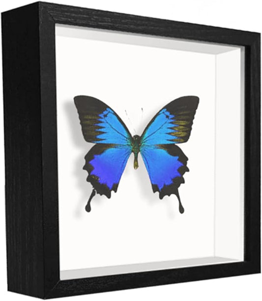 5x5 Small Shadow Box Frame Display Case , Display Case Box for Memorabilia, Medal, Wedding Memories, Crafts, Tickets and Photos (Black, 5x5)