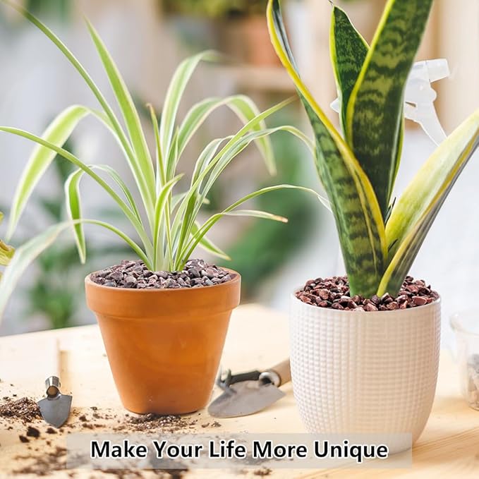 5LB Succulent and Cactus Gravel Pebbles, 1/5 Inch Natural Decorative Polished Stones, River Rocks for Vases Gardening Indoor and Outdoor Decorative Rocks, Red