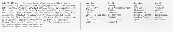 Nature's Answer Periobrite Kids Toothpaste 4 Ounce - Vegetarian, Non GMO, Gluten Free, Fluoride Free, with Xylitol, Natural Strawberry Flavor - Supports Oral Wellness for Kids, Children, Toddlers