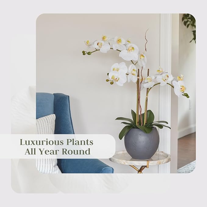Faux White Orchid Plant, Premium Artificial Indoor Flower Display Stands 25-Inches with Beautiful Sculptural Blooms and Foliage That Lasts Forever, Grey Planter Pot Included