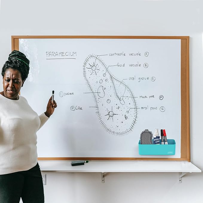 loukin Magnetic and Adhesive Marker Holder, Dry Erase Accessory Tray, Magnetic Storage Organizer for Whiteboard, Glass or Refrigerators (Sky Blue)