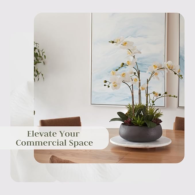 Faux Orchid Plant w/Succulents, Premium Artificial Indoor Flower Display Stands 24” w/Beautiful Sculptural Blooms and Succulents That Lasts Forever, Grey Planter Pot Included