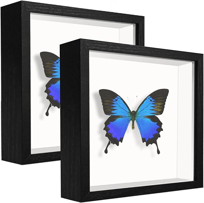 5x5 Small Shadow Box Frame Display Case , Display Case Box for Memorabilia, Medal, Wedding Memories, Crafts, Tickets and Photos, Picture Frame for Wall and Tabletop (2Pcs-Black, 5x5)