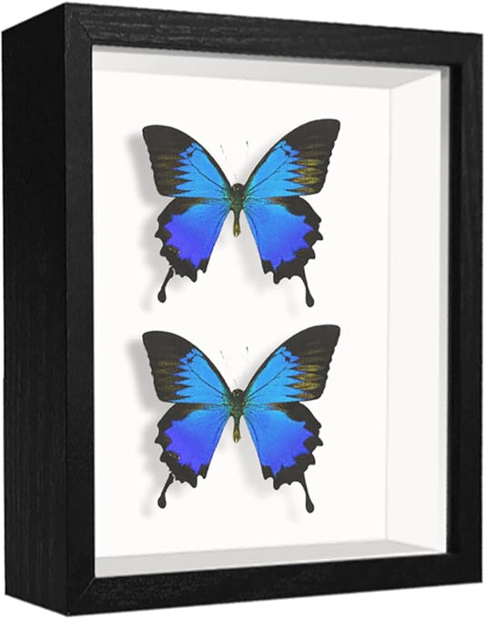 5x7 Small Shadow Box Frame Display Case, Display Case Box for Memorabilia, Medal, Wedding Memories, Crafts, Tickets and Photos (Black, 5x7)