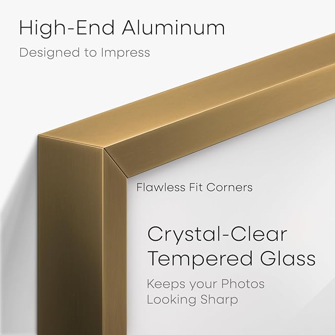 Homeforia 14x22 Picture Frame Bronze, High End Metal 14x22 Brass Poster Frames with Mat 12x16 for Photo, 14 x 22 Frame Matted to 12 by 16 Print, 22x14 Hanging Frame, Tempered Glass, Wall Kit, Set of 1