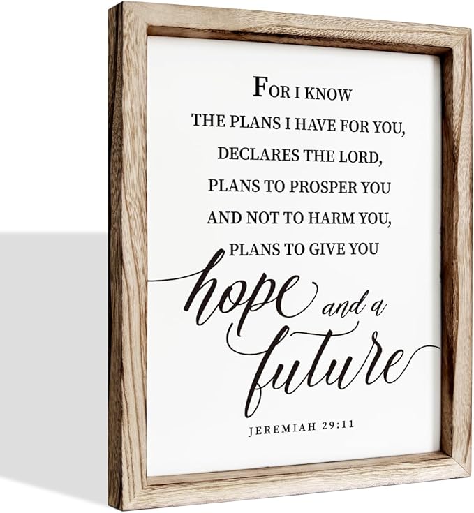 Christian Wall Decor, Religious Artwork for Home Decor, Bible Verse Signs, Inspirational Christian Gift, Framed Wall Plaque Sign 15 * 11.5 inches, I Know the Plans I Have for You Sign