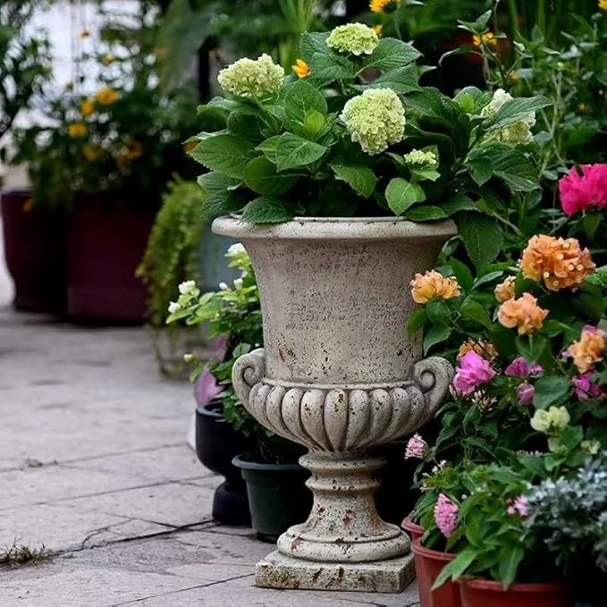 Vintage European Garden Urn Planter, Decorative Cement and Fiber Flower Pot, Make Antiqued Finished, H=19.7in, Wrap Foam Safely Delivered from Local Warehouse (Antiqued, Medium)