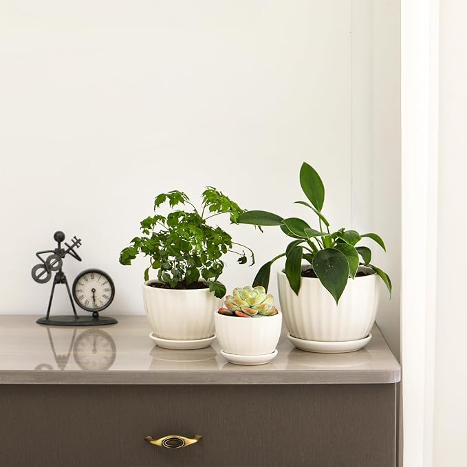 Ceramic Plant Pots with Drainage Holes and Saucers, Round White Flower Pots for Indoor Plant, Diameter 3.3/4.3/5.5 Inches Small Flower Planters Set of 3