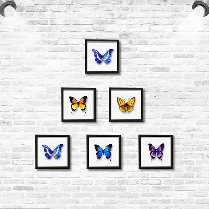 5x5 Small Shadow Box Frame Display Case , Display Case Box for Memorabilia, Medal, Wedding Memories, Crafts, Tickets and Photos (Black, 5x5)