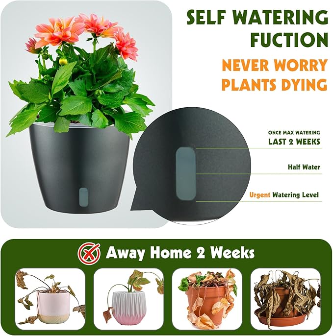 Self Watering Pots for Indoor Plants, 6-Pack 5'' Self Watering Planter with Drainage Holes, Small African Violet Pots with Water Indicator, Clear Wick Orchid Pot, Grey Gold