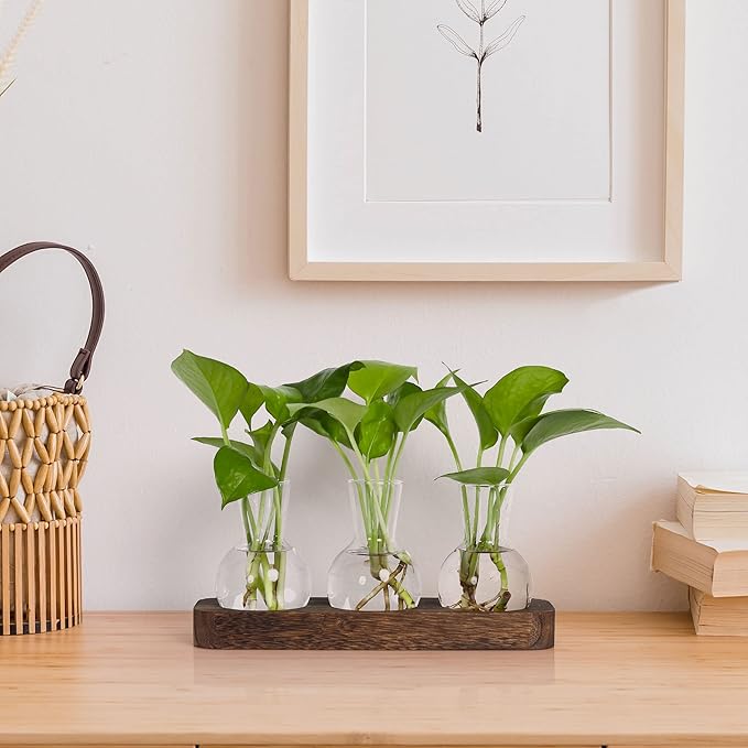 YIBOT Propagation Stations,Plant Propagation Vase,Desk Plant Terrarium with Retro Wooden Stand,Plant Lover Gifts for Women for Hydroponics Plants Home Garden Wedding Decor(3 Vase)