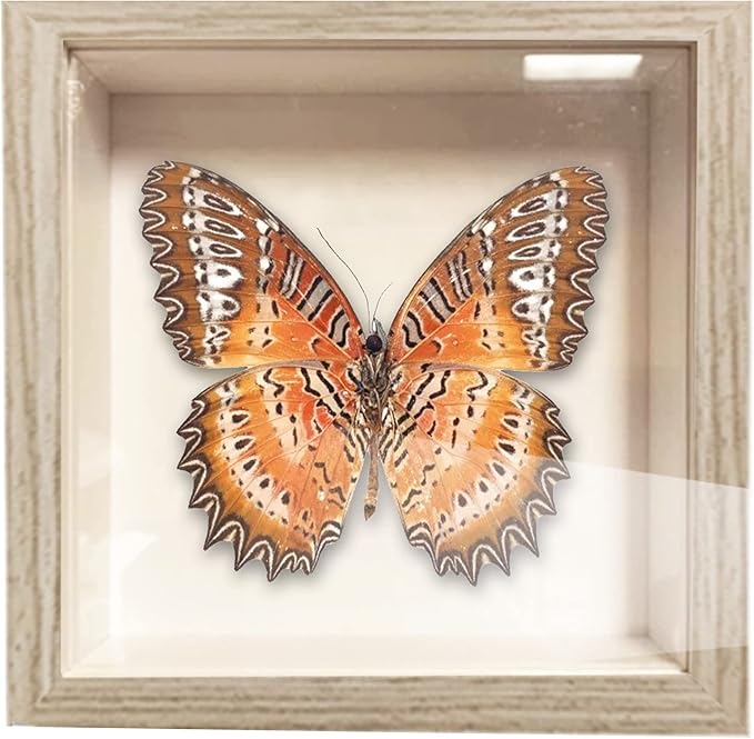 5x5 Small Shadow Box Frame , Display Case Box for Memorabilia, Medal, Wedding Memories, Crafts, Tickets and Photos, Picture Frame for Wall and Tabletop (6Packs-Natural Gray, 5x5)