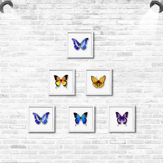 5x5 White Small Shadow Box Frame Display Case , Display Case Box for Memorabilia, Medal, Wedding Memories, Crafts, Tickets and Photos (6packs-White, 5x5)