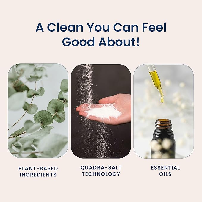 Laundry Detergent for Sensitive Skin | Gentle & Safe for Baby Clothes | Plant-Based | 6 Pack Refill Powder | Easy to Dissolve to Create a Liquid | Signature Scent (300 Loads)