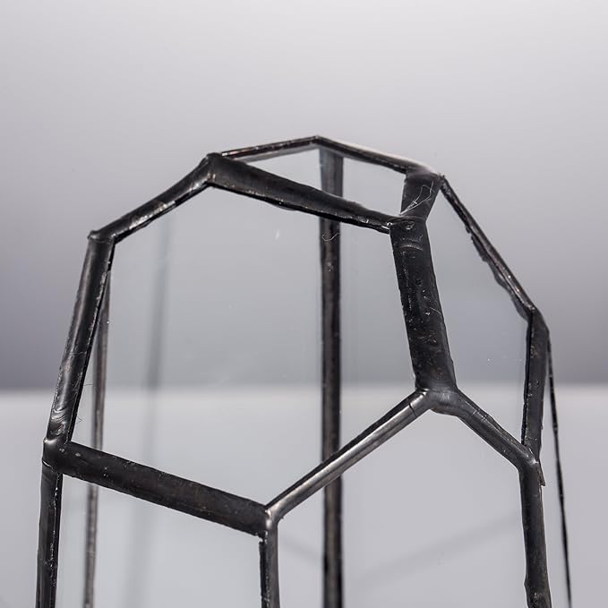 NCYP Small Geometric Terrarium - 4.1" x 3.5" x 5.9" Miniature Irregular Glass Terrarium Planter for Succulent Air Plants - Tabletop Garden Display Container, Black (No Plants, No Door)