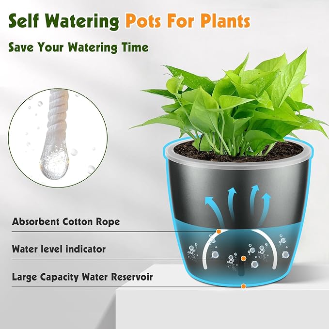Self Watering Pots for Indoor Plants, 6-Pack 6.7'' Self Watering Planter with Drainage Holes, Small African Violet Pots with Water Indicator, Clear Wick Orchid Pot, Grey Gold